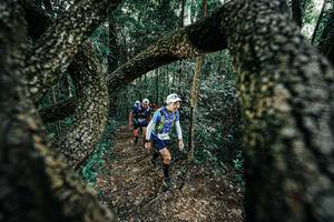 BIB: 
                            <button type="button" onclick="openModal(25392049)" class="btn btn-primary btn-sm float-right btn-popup" data-toggle="modal" data-target=".modal-high-quality">
                        <i class="fas fa-shopping-cart"></i> Add to Cart
                    </button>
                                            <button type="button" onclick="isThisMe(25392049, true)" class="btn btn-success btn-sm float-right btn-popup btn-isme hidden" data-toggle="tooltip" data-placement="bottom" title="นี่คือรูปของคุณใช่ไหม คลิกที่นี่เพื่อเอาเข้าอัลบั้ม">
                        <i class="fas fa-plus"></i> Add to album
                    </button>
                    <button type="button" onclick="isThisMe(25392049, false)" class="btn btn-warning btn-sm float-right btn-popup btn-isnotme hidden">
                        <i class="fas fa-ban"></i> Remove from album
                    </button>